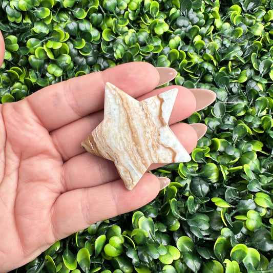 *Caribbean Calcite Star